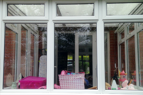 Expert Window Cleaning, Honiton